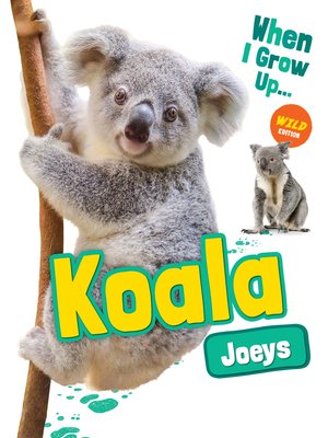 cover image of Koala Joeys